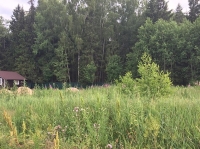Купить земельный участок 11 сот., Алешино,  39 от МКАД. 