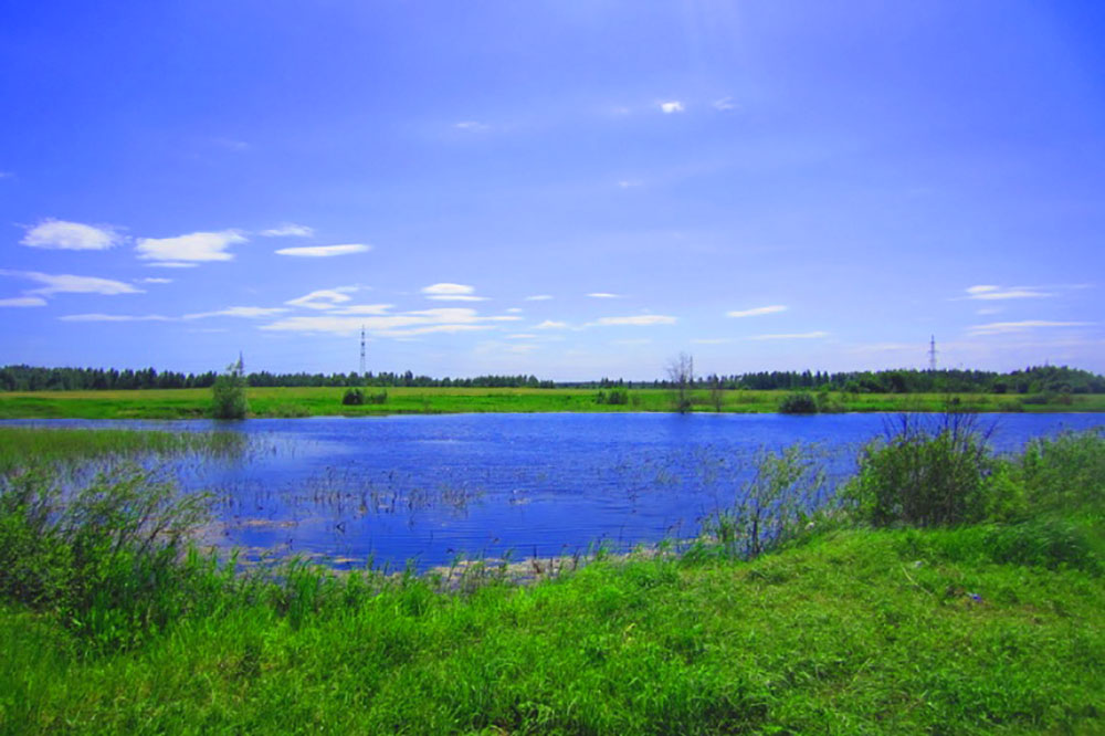 Село Казанское Павлово Посадский Район Купить Недвижимость