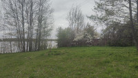 Первая линия Волги в Конаково - свой пляж, слип и пирс, 120 км. от Москвы