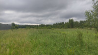Продажа ГЕКТАРА промзоны между Конаково и Мокшино (Большое Завидово)